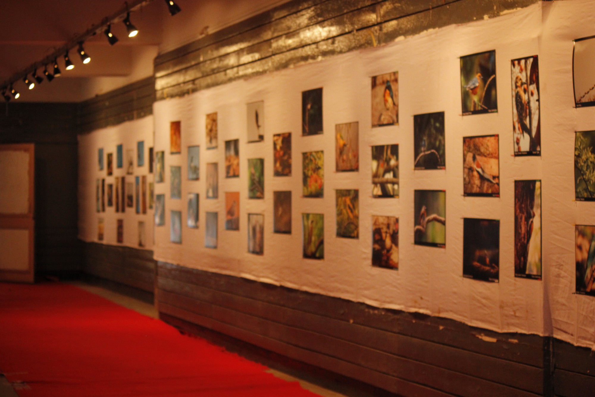 Exhibitions cover